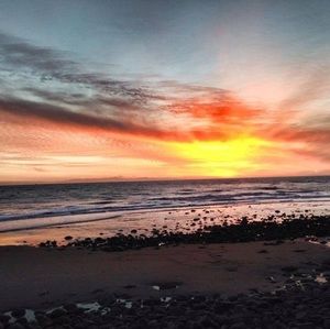 Meet your Posher, Judy